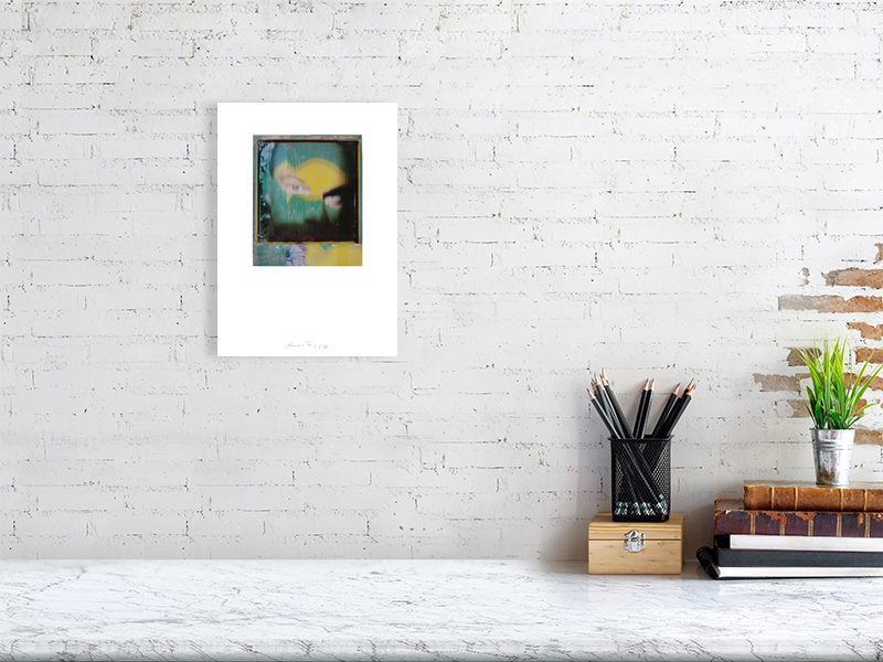 Spring <br>(Controlled Polaroid Art) - Afbeelding 5