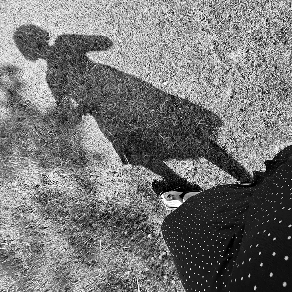 Walking Myself Home - Afbeelding 2